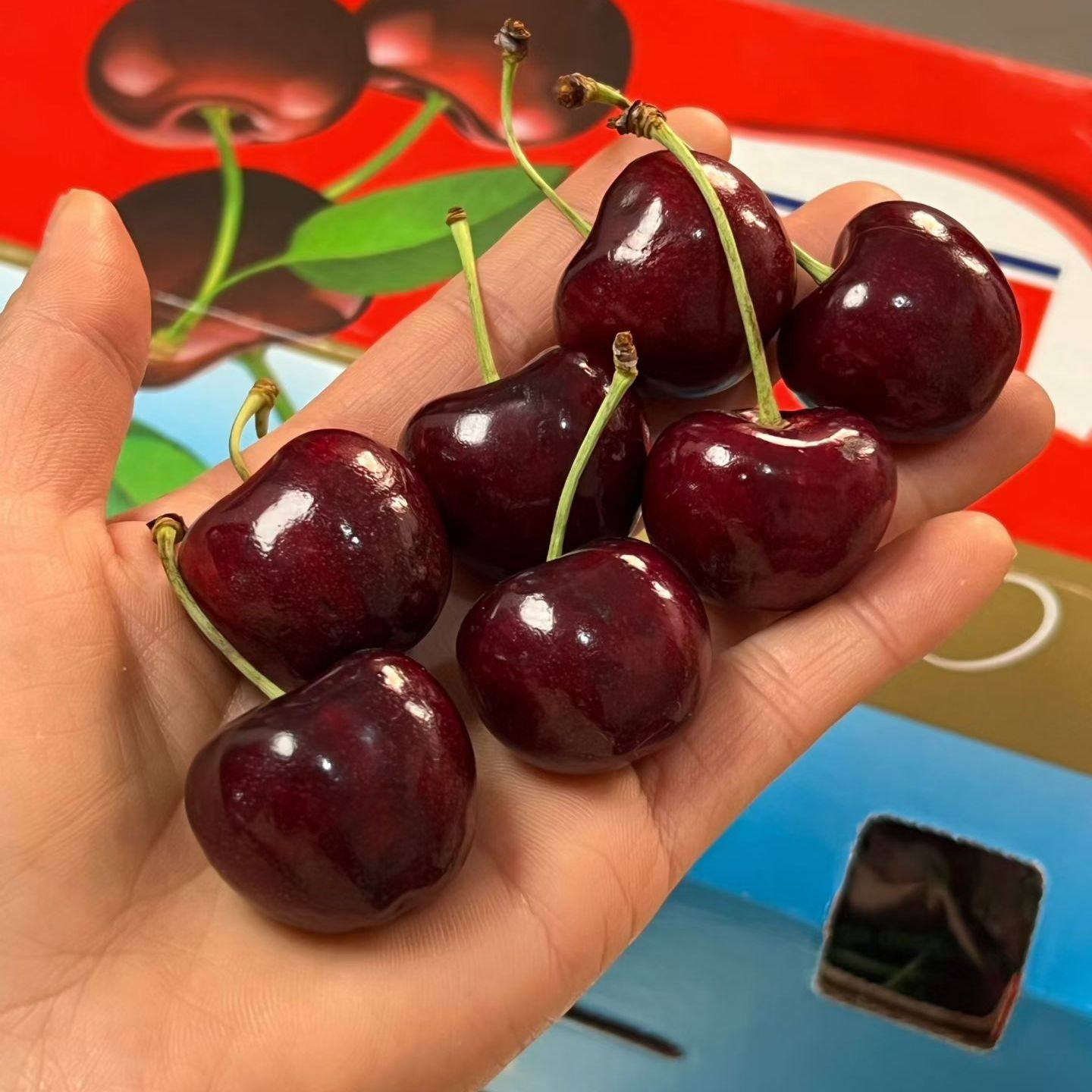 （礼盒随机发）当季现货智利车厘子冰Bing品种进口大樱桃新鲜水果,水产肉类/新鲜蔬果/熟食,车厘子/樱桃,淘宝优惠券,粉丝福利购,淘宝优惠卷