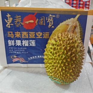 当季空运鲜果东泰一个宝猫山王榴莲老树榴莲马来西亚进口即食榴莲