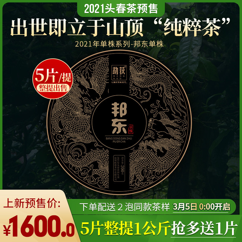 2021头春 5片整提 邦东古树单株纯料 老茶鬼级普洱茶生茶200g