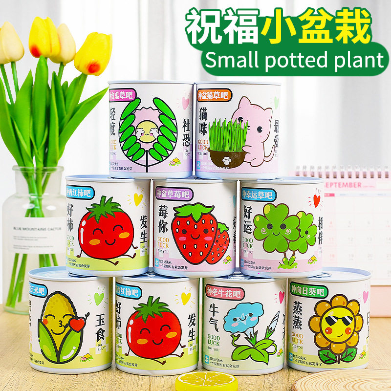 儿童节礼物幼儿园培训班小礼品创意送学生小礼物全班生日伴手礼