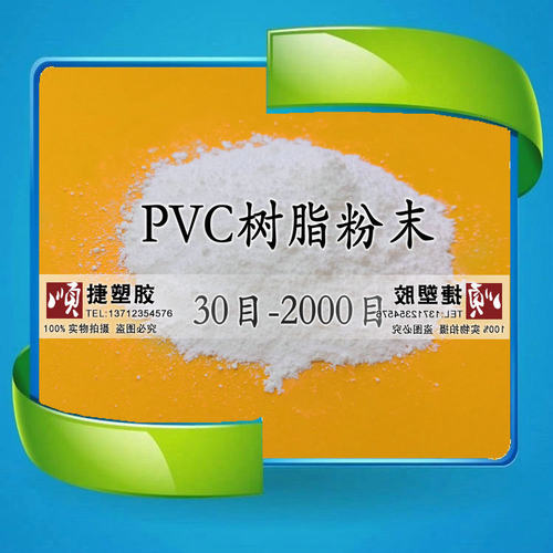 PVC树脂粉末 聚氯乙烯粉 超细塑料粉末 高纯度PVC粉 300克起拍