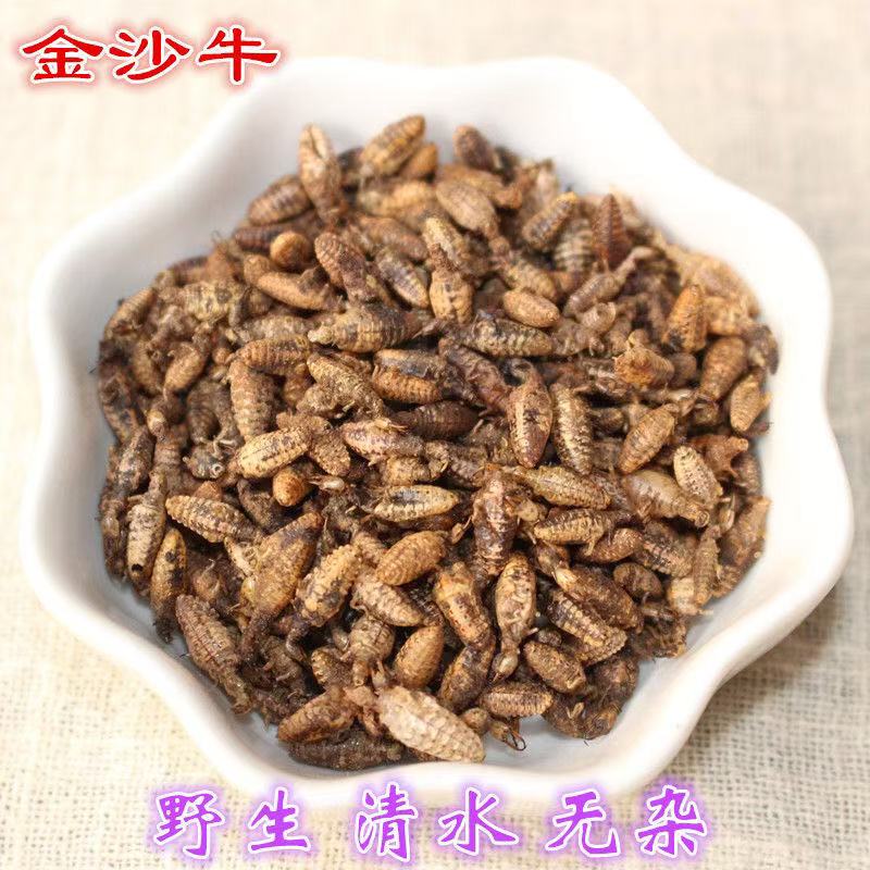 金沙牛中药材农家自产蚁狮地牯牛