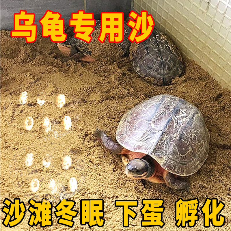乌龟沙池乌龟下蛋专用沙宠物乌龟冬眠专用沙土造景沙过冬沙产蛋沙