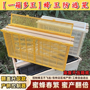 中蜂意蜂养蜂巢础蜂王产卵控制器防逃笼蜜蜂繁殖标箱专用养蜂工具