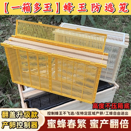 中蜂意蜂养蜂巢础蜂王产卵控制器防逃笼蜜蜂繁殖标箱专用养蜂工具