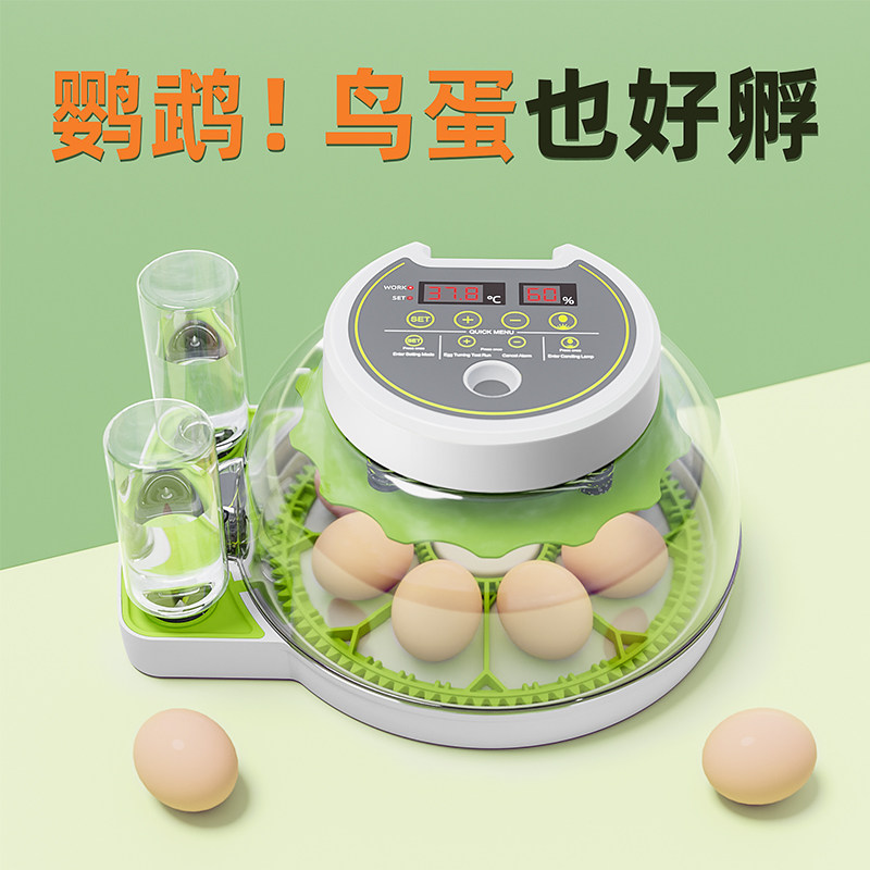 孵化器小型家用型全自动智能鹦鹉鸽子鸟蛋专用1/4吋套筒扳手碟孵
