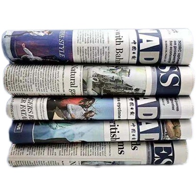 2023年英文报纸外文报纸