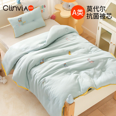 儿童被芯保暖抗菌A类婴幼儿品质