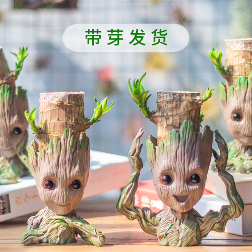 巴西木幸运木花盆办公室懒人植物