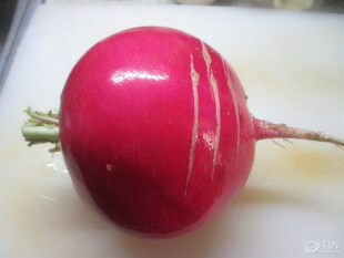 2025年新鲜旱萝卜雌性红萝卜农家 大红萝卜红皮白芯大萝卜5斤包邮