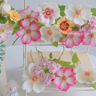 单瓣月季合集 杰奎琳漂亮的吻一见钟情婚纱卖花姑娘邱园勤花推荐