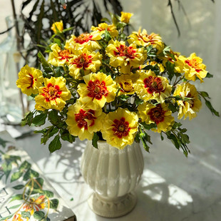 日落巴比伦眼睛月季花颜色深浅变化长势快勤花易养阳台盆栽庭院