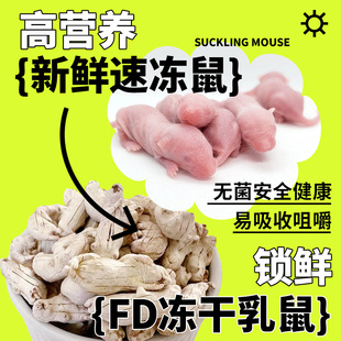 速冻红皮粉皮白霜小白鼠乳鼠冰冻蛇类守宫幼猫龟饲料粮独立包装