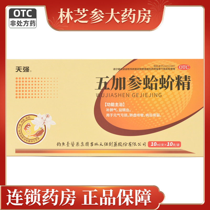 天强 五加参蛤蚧精 10ml*10支/盒 补肺气益精血肺虚咳嗽元气亏损