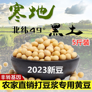 农家土黄豆精选2023新豆 东北黄豆打豆浆专用高蛋白东北大豆5斤装