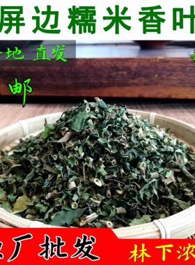 屏边 糯米香叶  林下浓香 优质料 糯香麒麟大口茶配料