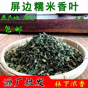 屏边 糯米香叶  林下浓香 优质料 糯香麒麟大口茶配料