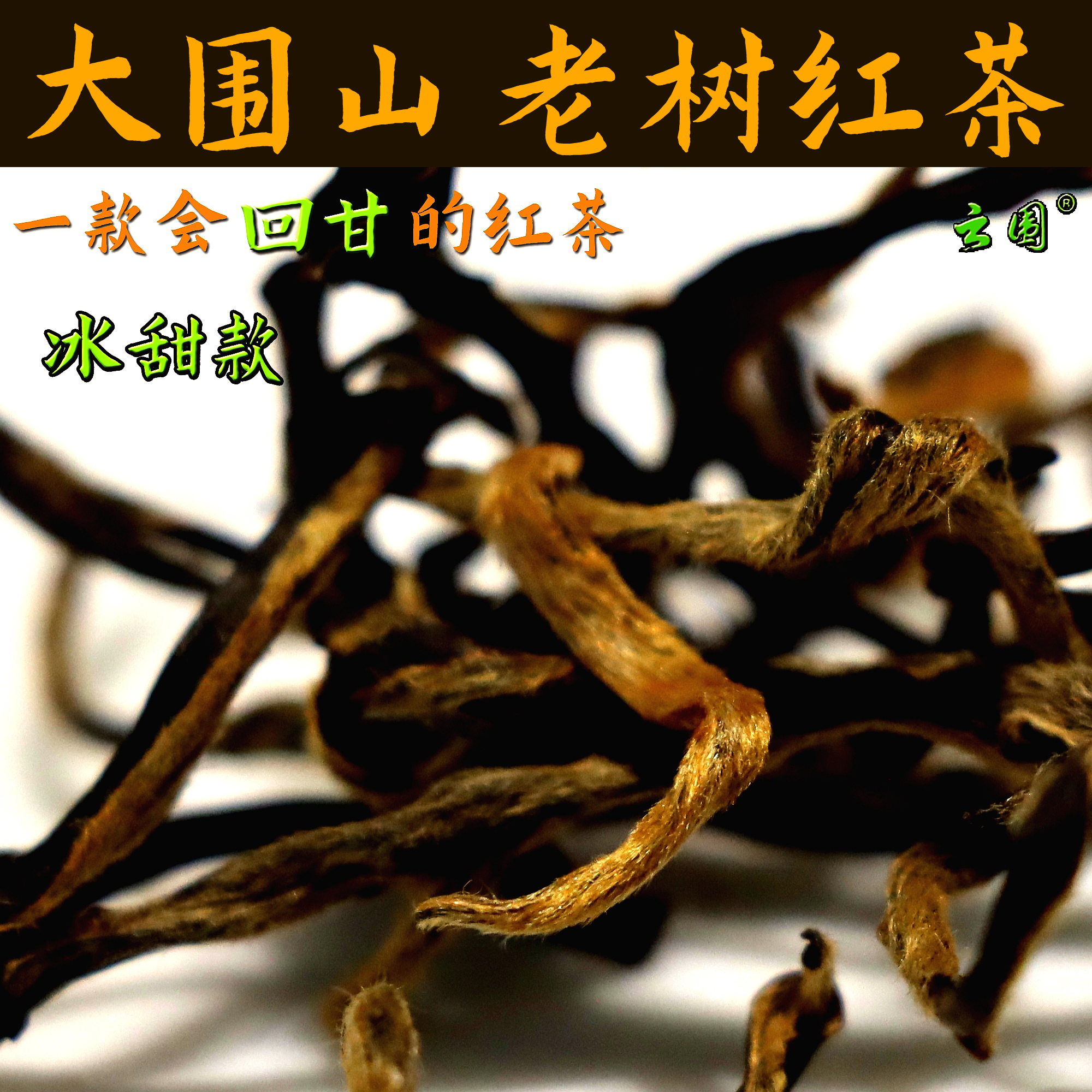 经典古树红茶云围古茗