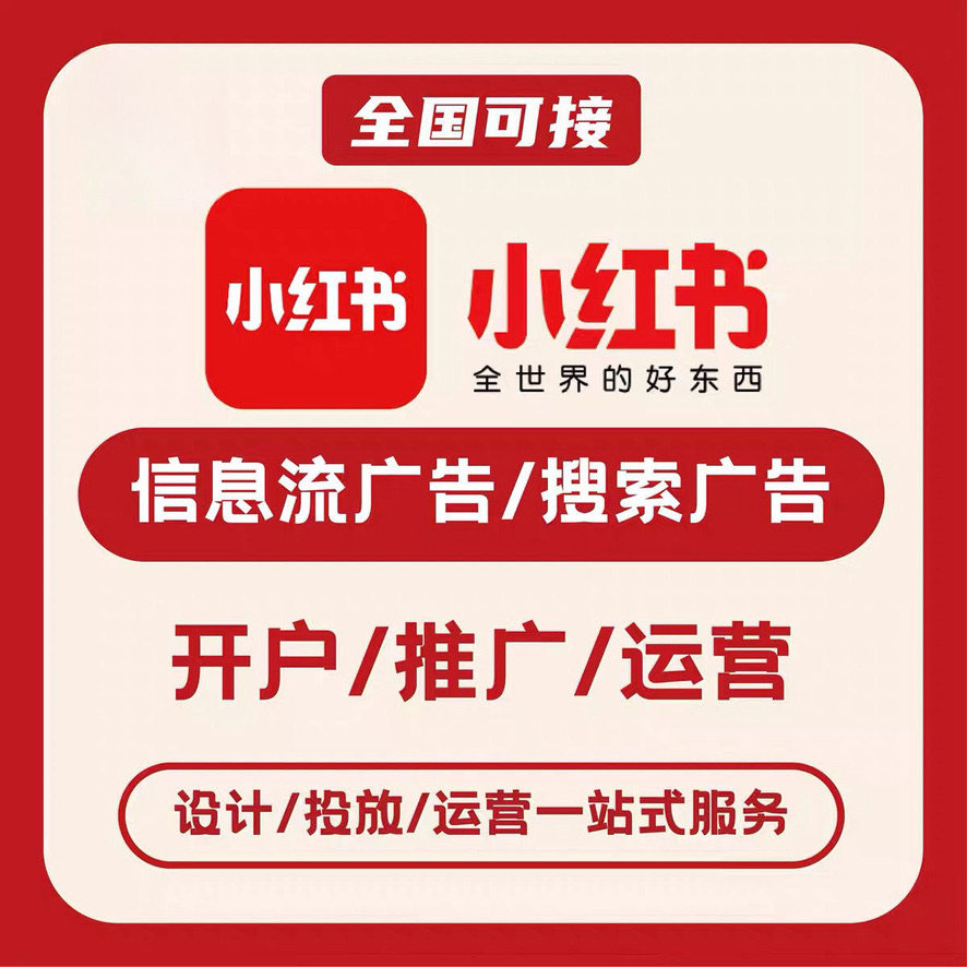 小红书 聚光信息流广告投放 小商务服务
