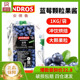 ANDROS安德鲁颗粒果酱1kg蓝莓大颗粒水果果酱冲饮烘焙奶茶店专用