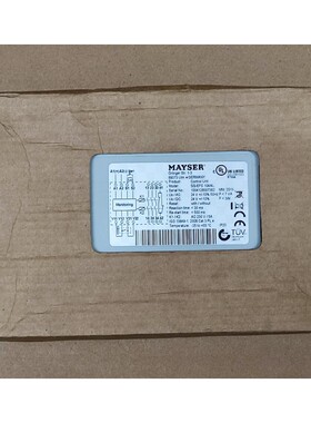SG-EFS 104/4L MAYSER SAFTEY 控制器 SG-EFS 104/4L