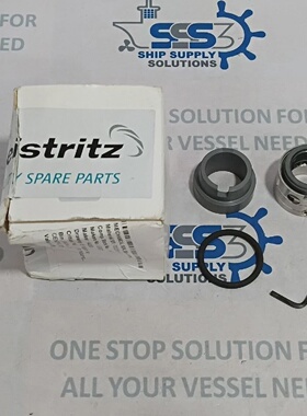 Leistritz0220780001机械密封适用于增压泵87005456Viton75