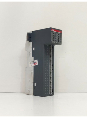 ABB DX561 B4 1TNE968902R2301 模块(免费送货)