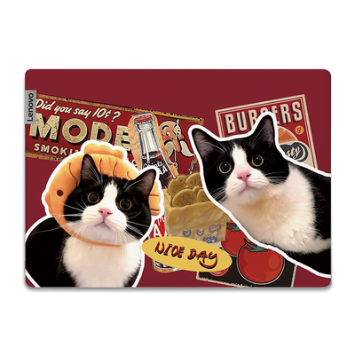 VISION可爱猫咪电脑贴纸