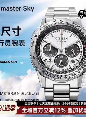 西铁城光动能机芯PROMASTER系列多功能不锈钢商务休闲男表CA4660