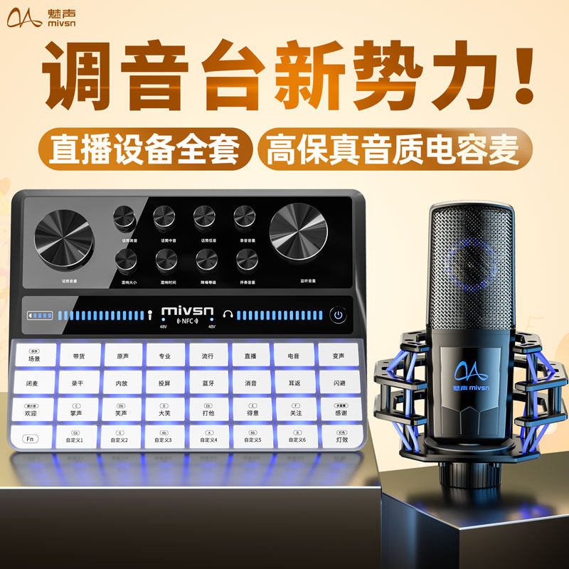 魅声 G9-P2 专业级USB外置声卡游戏录音唱歌直播专用手机电脑通用