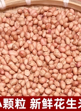 精选小颗粒 2025年新上市花生米5斤 农家自产新鲜白沙生花生去壳