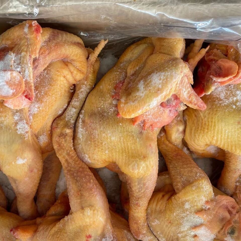 新鲜冷冻青脚麻鸡公鸡麻母鸡整箱20斤农家散养小炒鸡食堂饭店商用