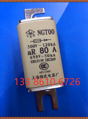 飞凰牌 NGT00-80A  690V 方形熔断器保险丝  独立式安装 NGTOO