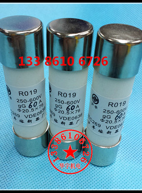 上海沪丰R019圆柱型熔断器芯子10A16A20A60A保险芯子20.5X76 RO19