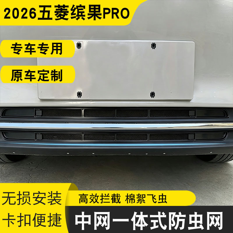 五菱缤果Pro专用防虫防蚊防絮网