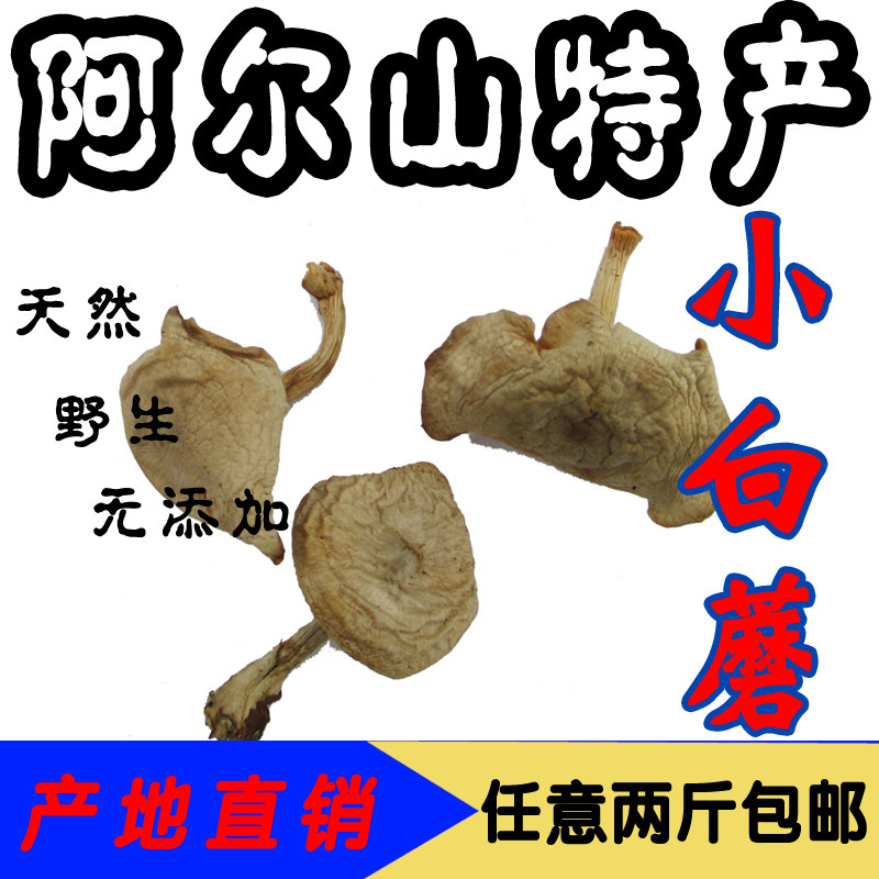 阿尔山特产 小白蘑蘑菇 干货 纯野生 野生食用菌 内蒙古特产 500g
