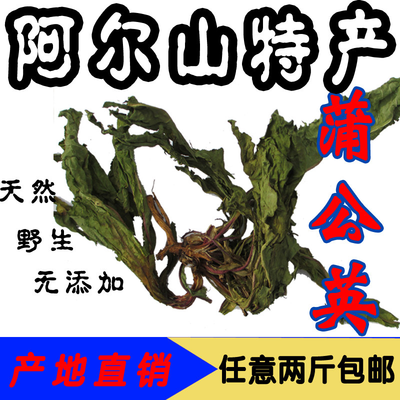 阿尔山特产 蒲公英 野生 整棵 带根 天然 内蒙古婆婆丁茶500g包邮