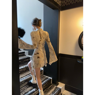 Xinlei Lin “青梅煮酒”新中式印花长袖2025春夏新品连衣裙女