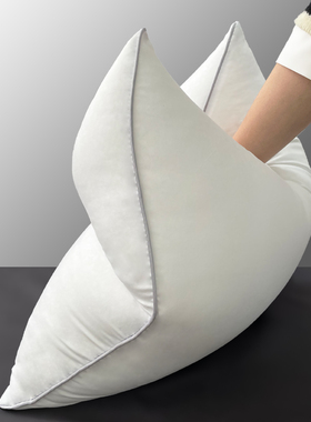 抱枕芯45x45cm大靠枕芯皮内胆套沙发靠垫x60x65x80床上长方形x85