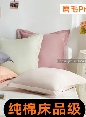 秋冬床上纯棉磨毛靠背套贡缎60x60大靠枕套65x65cm北欧大号抱枕套