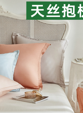 天丝抱枕套100支莱赛尔纤维夏天真凉感床上头大靠枕冰丝方靠背套