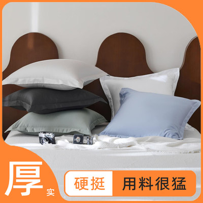 000根纯棉加厚靠枕套出口级高密度成人抱枕卧室床头大靠垫不含芯