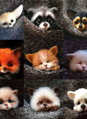 Jiwuo Handmade Cartoon Fox Puppy Cat Dog Toy Doll Wool Felt