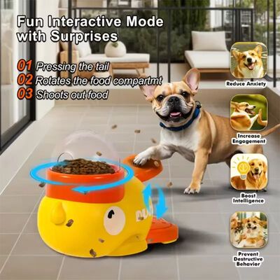 Dog, cat, pet feeder, little yellow duck, interactive puzzle