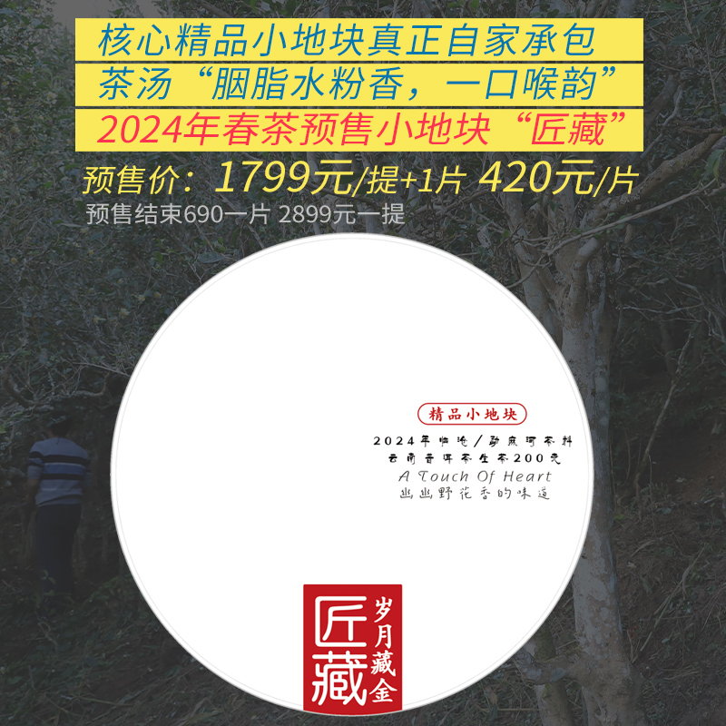 1799/6片 2024年春茶预售匠藏勐麻河古树普洱茶生茶200克小产区