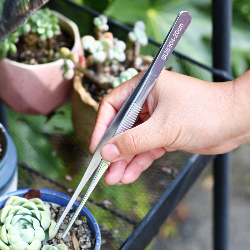 多肉园艺带齿防滑不锈钢镊子夹子