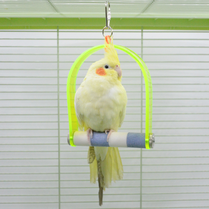 鹦鹉玩耍休息磨爪秋千玩具站棒