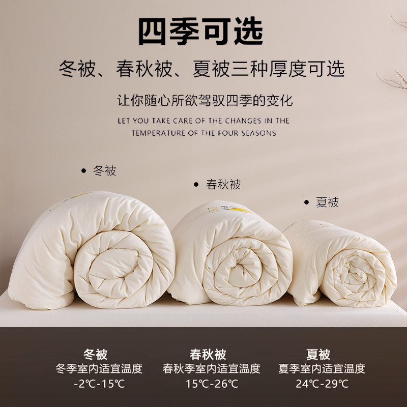 大豆纤维被冬被春秋被单人宿舍棉被加厚保暖被子被芯200*230双人,床上用品,化纤被,淘宝优惠券,粉丝福利购,淘宝优惠卷