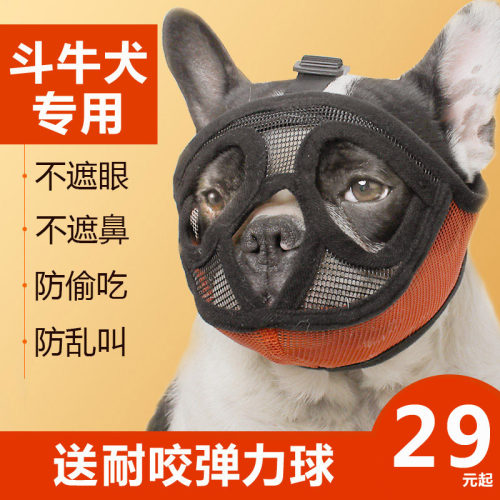斗牛犬嘴套素材模板 斗牛犬嘴套图片下载 小麦优选