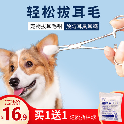 狗狗耳毛钳质量怎么样 狗狗耳毛钳口碑怎么样 小麦优选